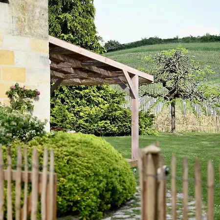 Vue Sur Les Vignes Du Chateau La Gaffeliere - Grand Cru Saint-Emilion