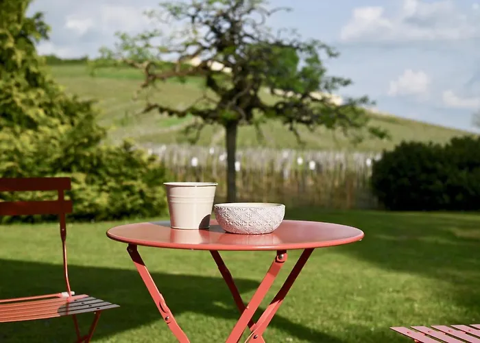 Vue Sur Les Vignes Du Château La Gaffelière - Saint-émilion Grand Cru Saint-Émilion